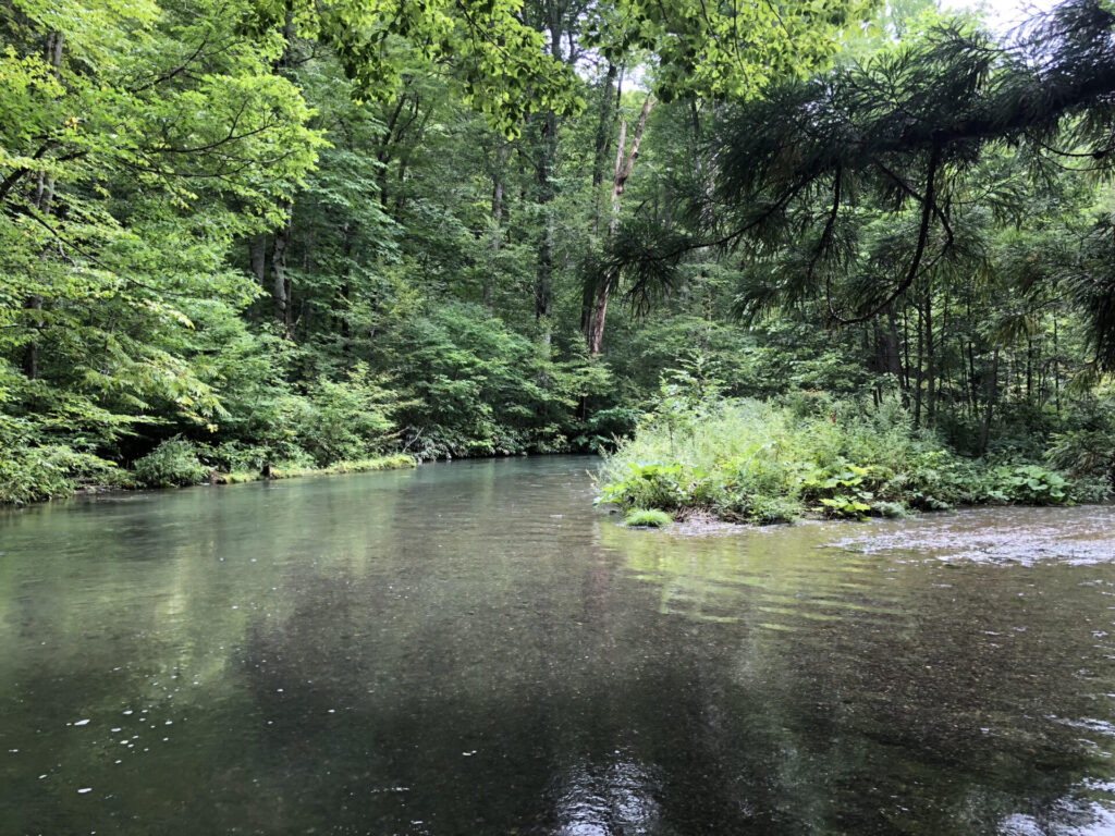 ゆっくり水が流れる渓流の景色